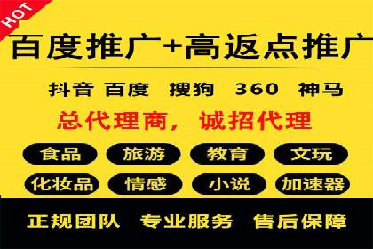 百度竞价SEM策略解析：某品牌广告成功的关键因素